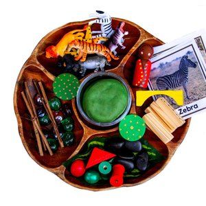 Safari Sensory Kit | Sensory Bin | Play Dough Kit | Montessori | Peg Dolls | Toy